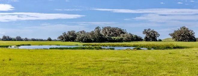 Bat Habitat